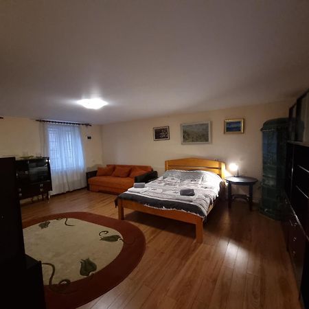 R Castle - 2 Room Apartment 布拉索夫 外观 照片